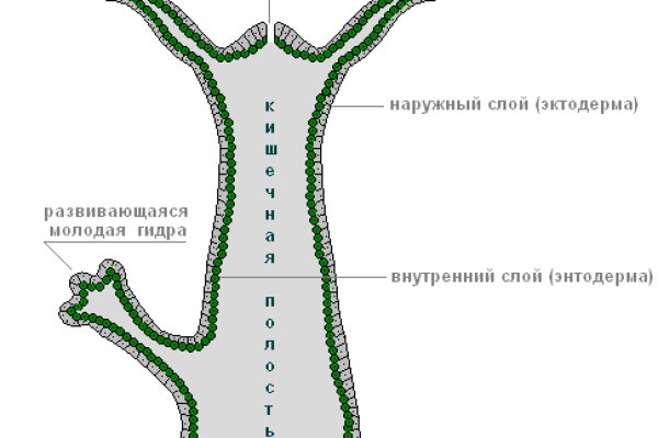 Кракен интернет площадка