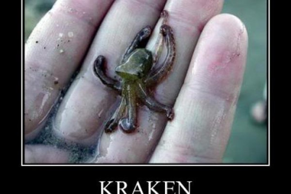 Как вывести деньги с kraken